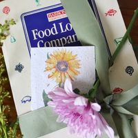 Growing Paper Sunflower Mini Card